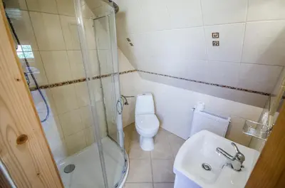 a bathroom with a shower and a toilet and a sink at Agroturystyka Sarenka in Podsarnie