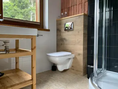 a bathroom with a toilet and a shower and a sink at Zagroda na Pacanach in Iwkowa