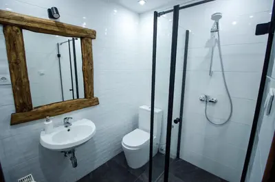 a bathroom with a toilet and a sink and a shower at Willa Zofia in Rabka