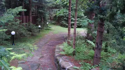 a path through a forest with trees and bushes at Domek Krasnal in Juszczyn