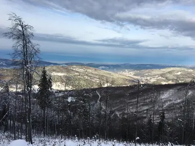a view of a snowy mountain with trees and mountains at Agroturystyka Leśny Zakątek in Stryszawa