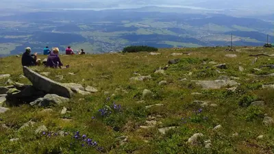 a group of people sitting on top of a mountain at Agroturystyka Leśny Zakątek in Stryszawa