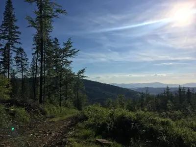 a dirt road with trees on the side of a mountain at Agroturystyka Leśny Zakątek in Stryszawa