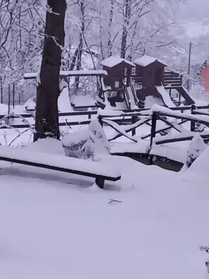 a dog laying in the snow next to a fence at Domek drewniany simonka zawoja in Zawoja