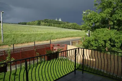 a black fence with a view of a vineyard at Apartament Bielany Kraków in Kraków