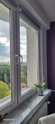 a window with a potted plant on a window sill at Apartment Łobzowska in Kraków