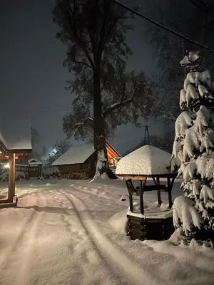 a snow covered yard with a bench and a tree at Gniazdko Pod Lipą in Andrychów