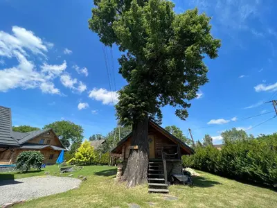 a tree house with a staircase next to a tree at Gniazdko Pod Lipą in Andrychów