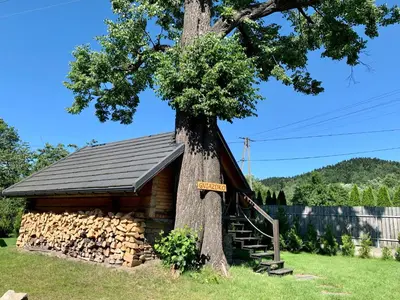 a log cabin with a tree next to it at Gniazdko Pod Lipą in Andrychów