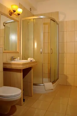 a bathroom with a shower and a toilet and a sink at Folwark Stara Winiarnia in Mszana Dolna