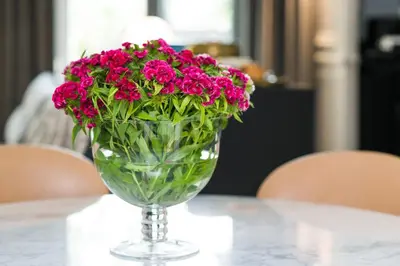 a glass vase filled with red flowers on a table at apartament PAULOVE in Kraków