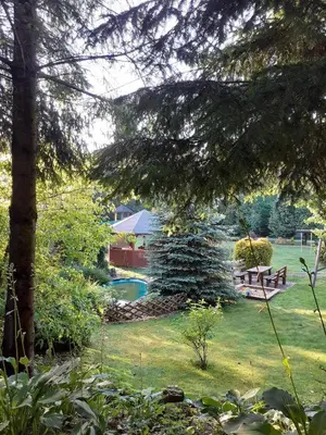 a garden with a bench and a picnic table at Agroturystyka Jagodowa Róża - Maria Farganus in Mszana Dolna