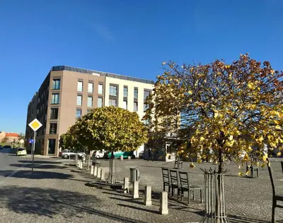 a street with trees in front of a building at Kraków Apartments - Solna Studio & Apartments in Kraków