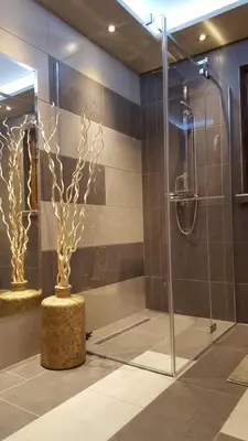a bathroom with a shower with a statue of a tree at Beskidzka Chata in Hucisko