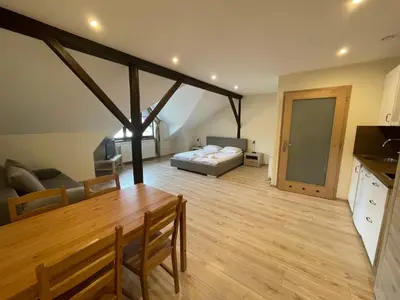 a bathroom with a shower and a toilet and a sink at Apartamenty w Rynku in Rabka