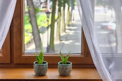 two potted plants sitting on a window sill at Pokoje gościnne 