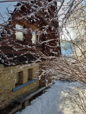 a building with snow on the branches of a tree at Dom w górach in Zawoja