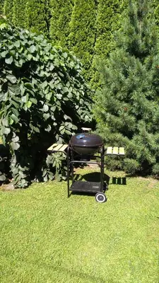 a barbecue grill sitting in the grass in a yard at Willa Elżbieta in Kraków