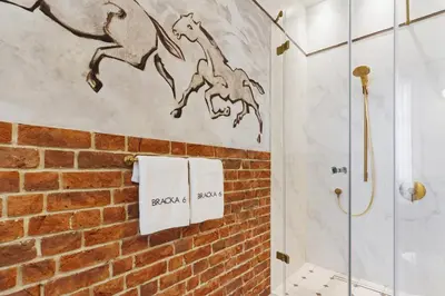 a bathroom with a shower and towels on a wall at Apartamenty Bracka 6 in Kraków