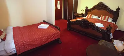 two beds in a hotel room with red carpet at Daisy Superior in Kraków