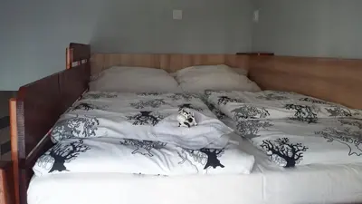a dog laying on top of a bed at Studio Na Powiślu in Kraków