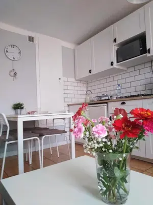 a vase of flowers sitting on a table in a kitchen at Apartment Oświęcim klimatyzowany in Oświęcim