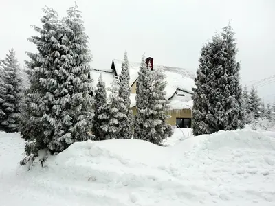a pile of snow in front of a house with trees at Forest House in Lubomierz