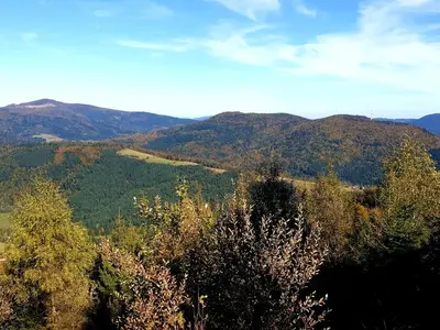 a view of trees and mountains in the distance at Forest House in Lubomierz