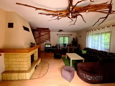 a living room with a couch and a fireplace at Forest House in Lubomierz