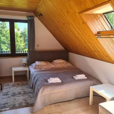 Forest House