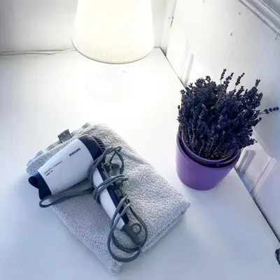 a hair dryer and a potted plant on a table at Hostel u Kmity in Kraków