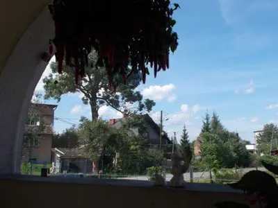 a window view of a street with a tree at Apartamenty Nad Wisłą in Skawina