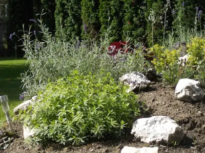 a garden with rocks and plants at Apartamenty Nad Wisłą in Skawina