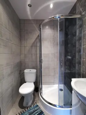 a bathroom with a shower and a toilet and a sink at Zawoja Chaty Górskie D1 in Zawoja