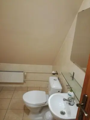 a bathroom with a white toilet and a sink at Zawoja Pod Grapą in Zawoja