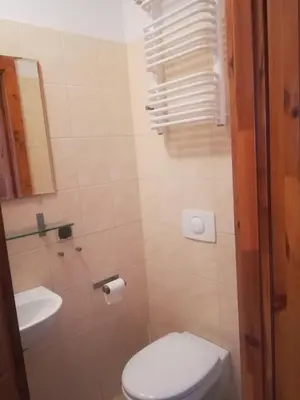 a bathroom with a toilet and a sink at Zawoja Pod Grapą in Zawoja