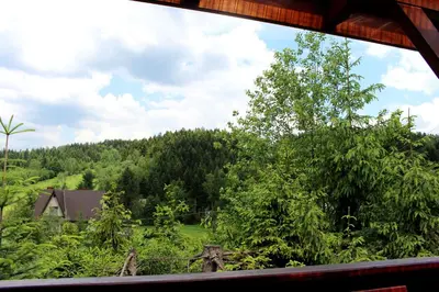 a view from a window of a field with trees at Zawoja Chaty Górskie D2 in Zawoja