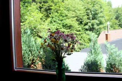 a vase filled with flowers sitting in a window at Zawoja Chaty Górskie D4 in Zawoja