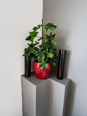 a plant in a red vase sitting on a shelf at Sky Apartments - Łagiewniki in Kraków