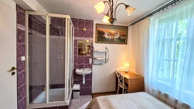 a bathroom with a sink and a shower and a toilet at Zajazd Turystyczny Stara Gawęda in Czechówka