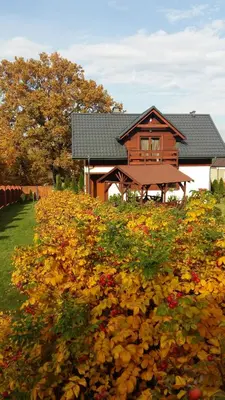 a house with a bunch of flowers in front of it at Apartament Pozytywka in Tenczynek
