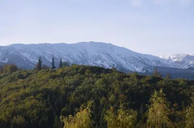 a hill with trees and mountains in the background at Dom na Mosornym Groniu in Zawoja