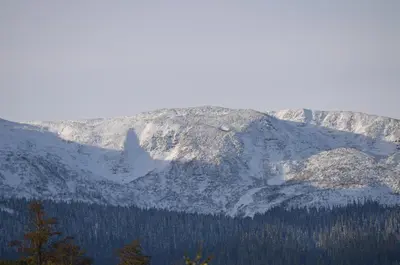 a snow covered mountain with trees in front of it at Dom na Mosornym Groniu in Zawoja