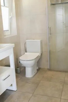 a bathroom with a toilet and a shower at Apartamenty i Domki u Basi in Zator