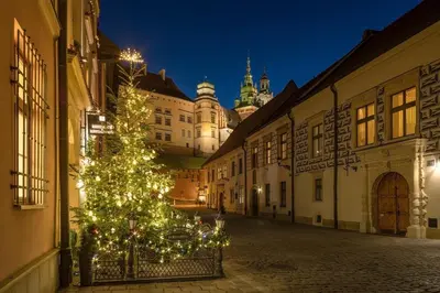 a christmas tree in the middle of a street at night at Happy Apartments in Kraków