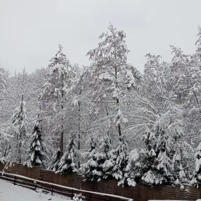 Salis Resort