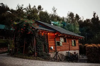 a small house with lights on the side of it at Świerkowe Zacisze Domki in Budzów