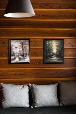 a wall with two pictures above a couch with two pillows at Apartamenty Gorczańskie in Rabka