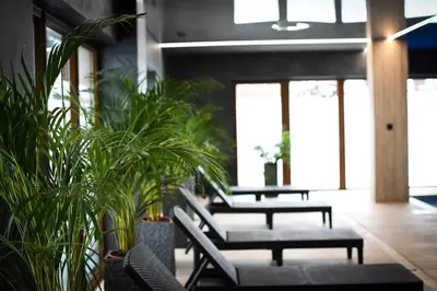 a room with chairs and potted plants and windows at Apartamenty Gorczańskie in Rabka
