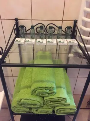 a green towel on a shelf with some money at Dworek Młynarza in Zator